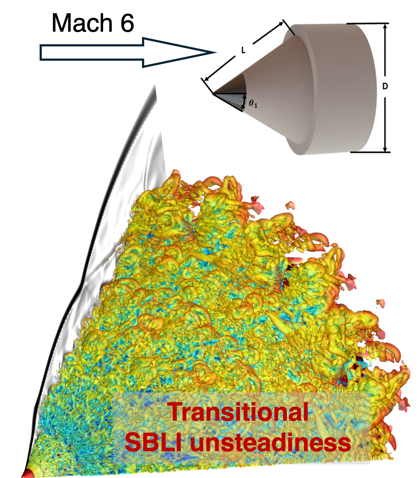 Transitional SBLI unsteadiness